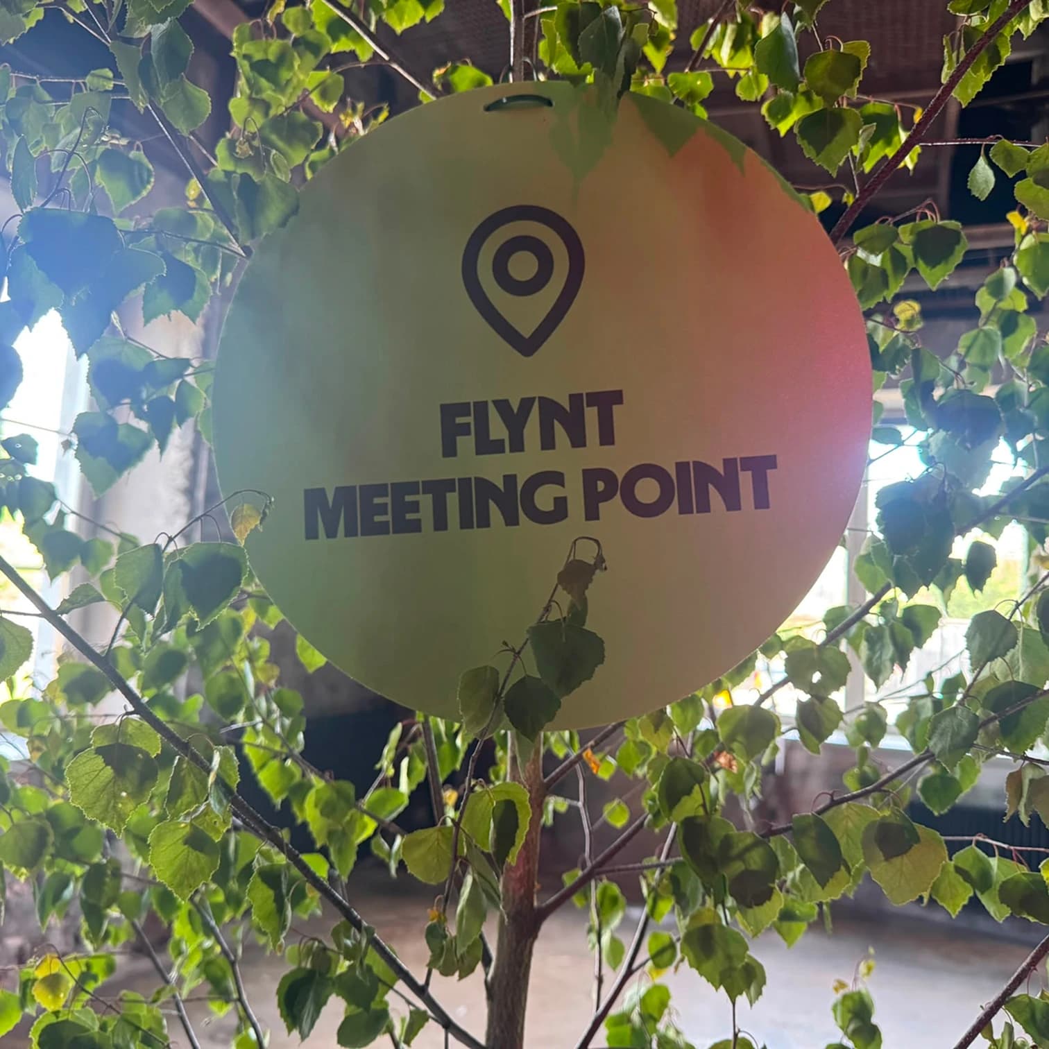 Flynt at Wise — the Flynt meeting point